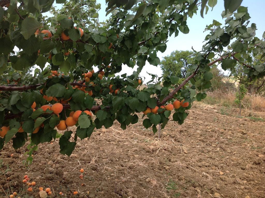 B&B A Robba De Pupi Agrigento Dış mekan fotoğraf